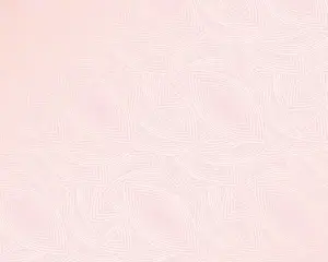 Easy Payment Options