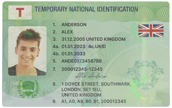 Green “Temporary” License Card - Image 2
